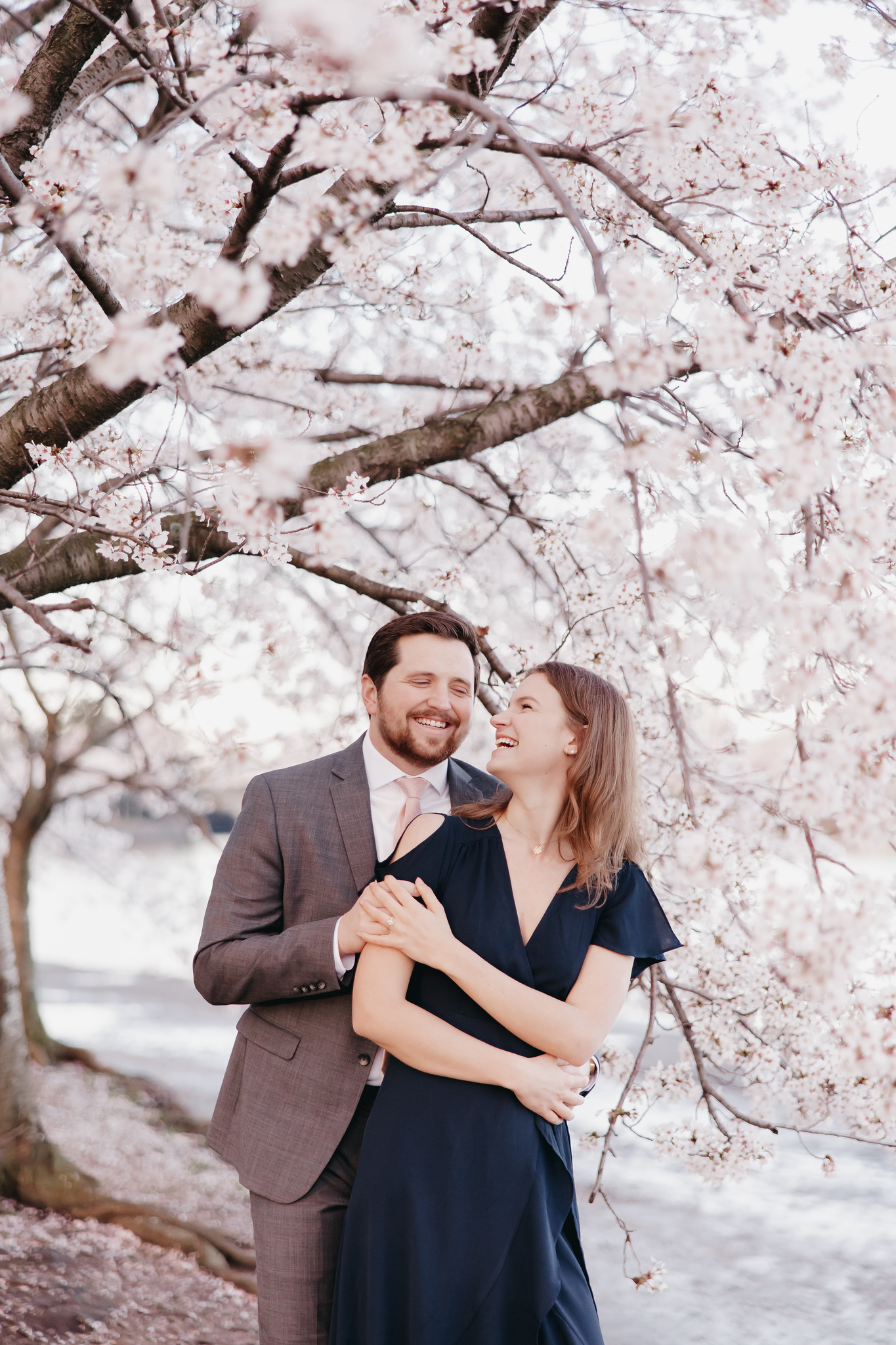 Engaged Couple in front of Cherry Blossoms in Washington, DC