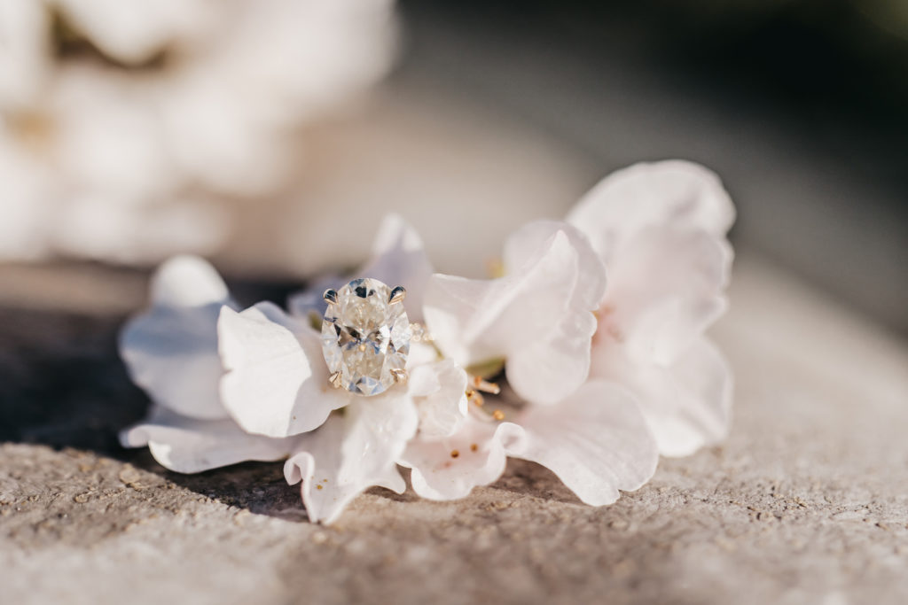 engagement ring surrounded by cherry blossoms