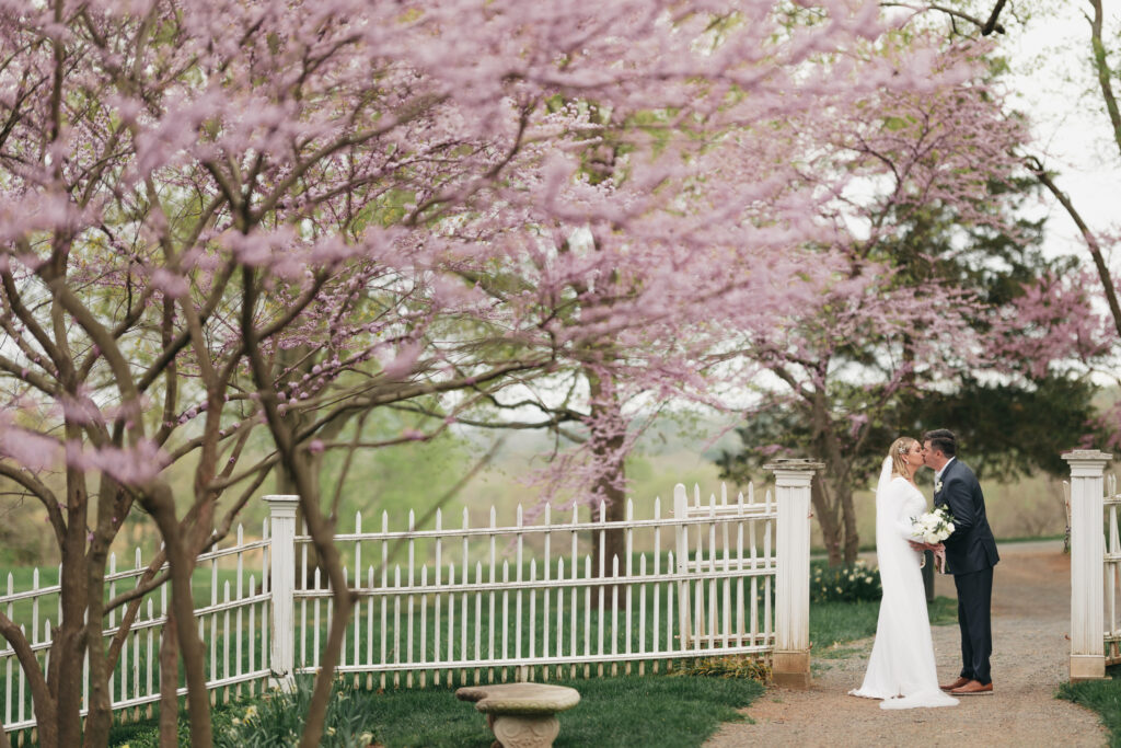 Bride and Groom kissing under a spring blooming tree