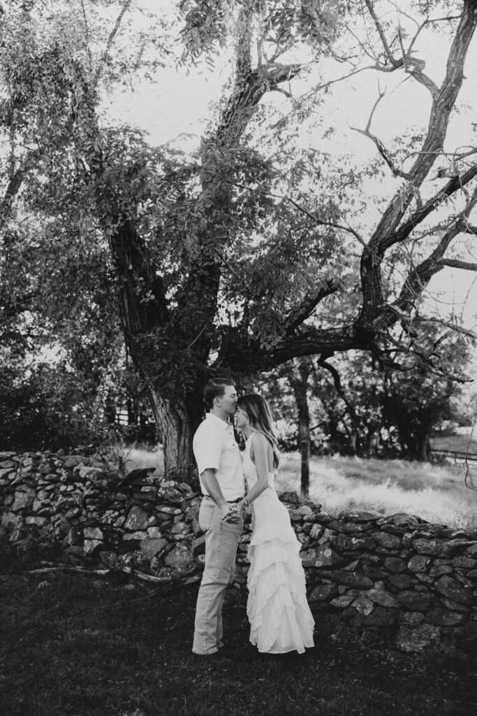 Golden-hour portrait of an engaged couple embracing in an open meadow, surrounded by warm natural light