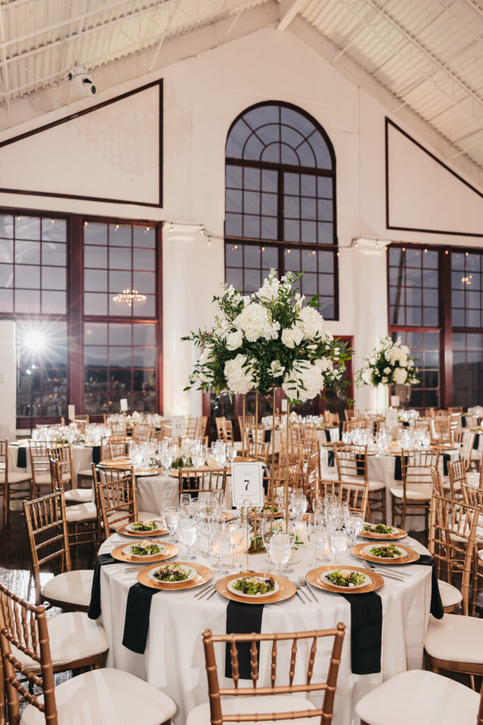 Reception at Raspberry Plain Manor wedding in Leesburg, Virginia