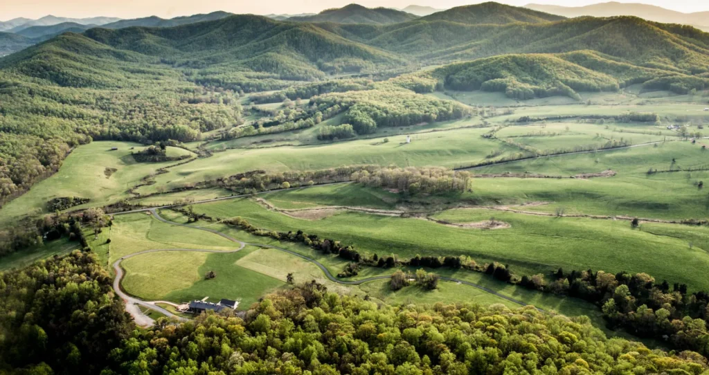 Pippin Hill Farm & Vineyards | Charlottesville, Virginia | Photograph thanks to Pippin Hill Farm & Vineyards

