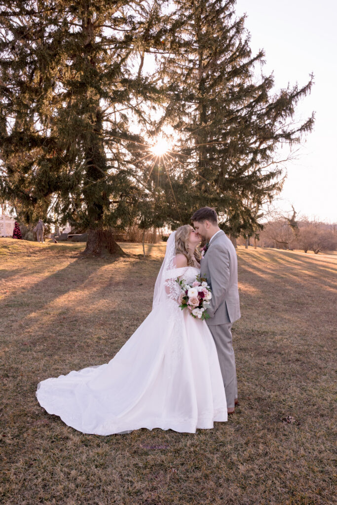 Romantic winter wedding portraits at Raspberry Plain Manor in Leesburg VA