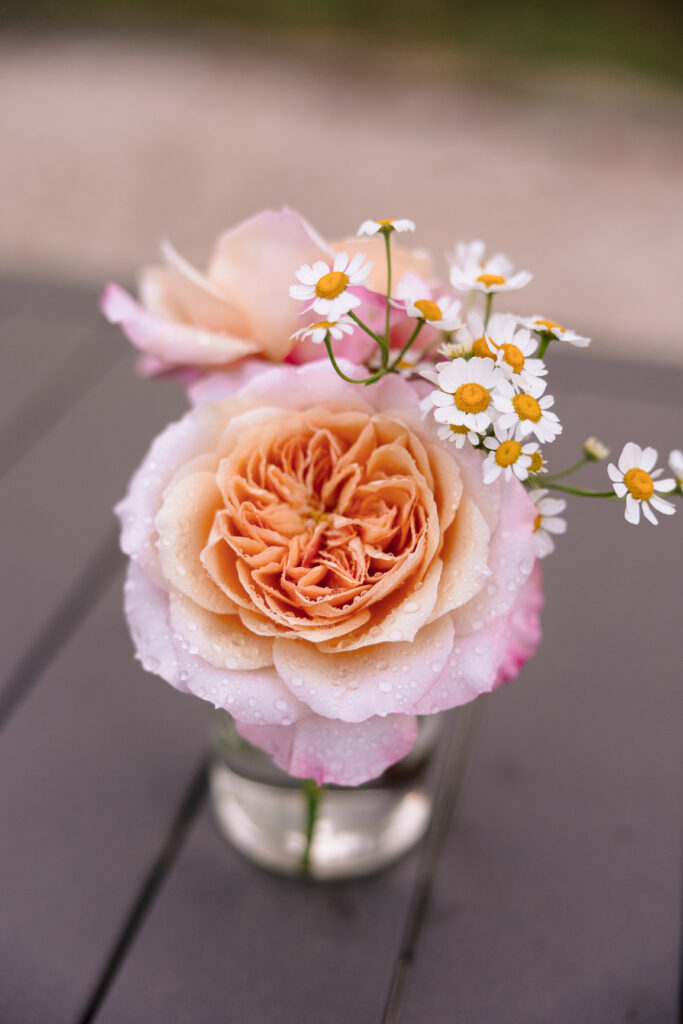 June Moon Florals wedding bouquet at Tranquility Farm